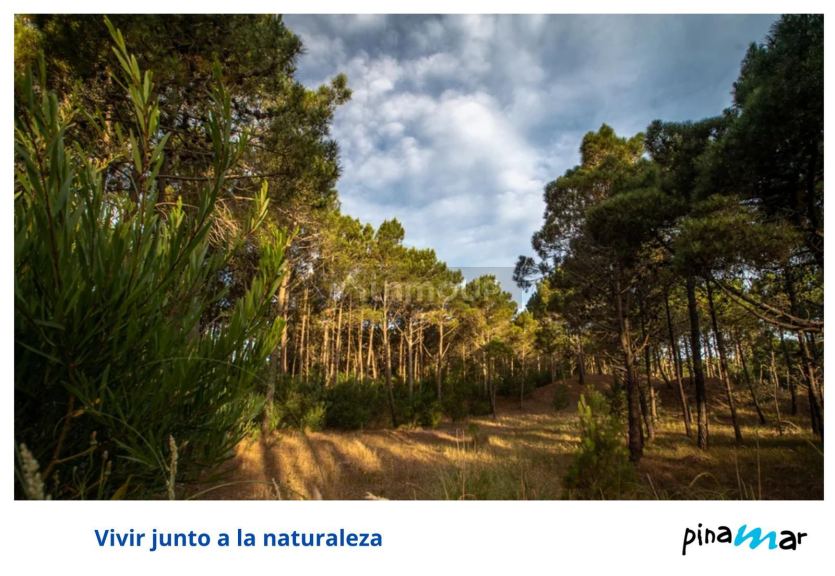 Terreno en Venta en Pinamar, Buenos Aires Costa Atlantica