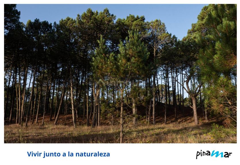 Terreno en Venta en Pinamar, Buenos Aires Costa Atlantica