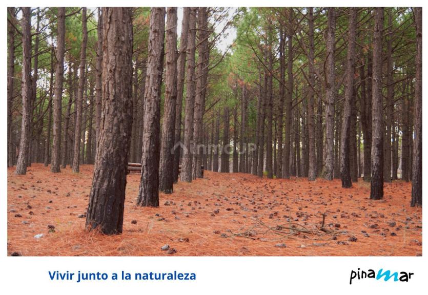 Terreno en Venta en Pinamar, Buenos Aires Costa Atlantica