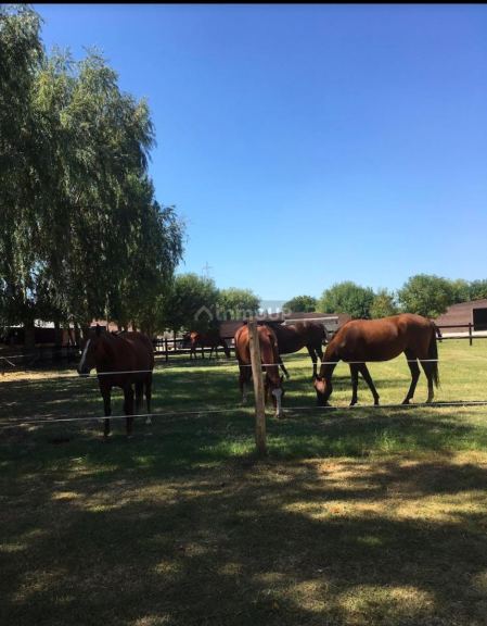 Terreno en Venta en General Rodriguez, G.B.A. Zona Oeste
