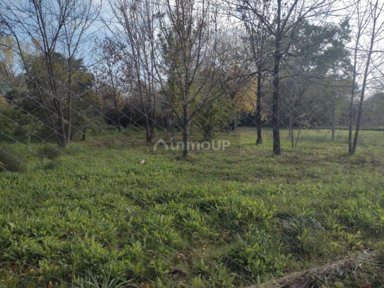 Terreno en Venta en Pilar, G.B.A. Zona Norte