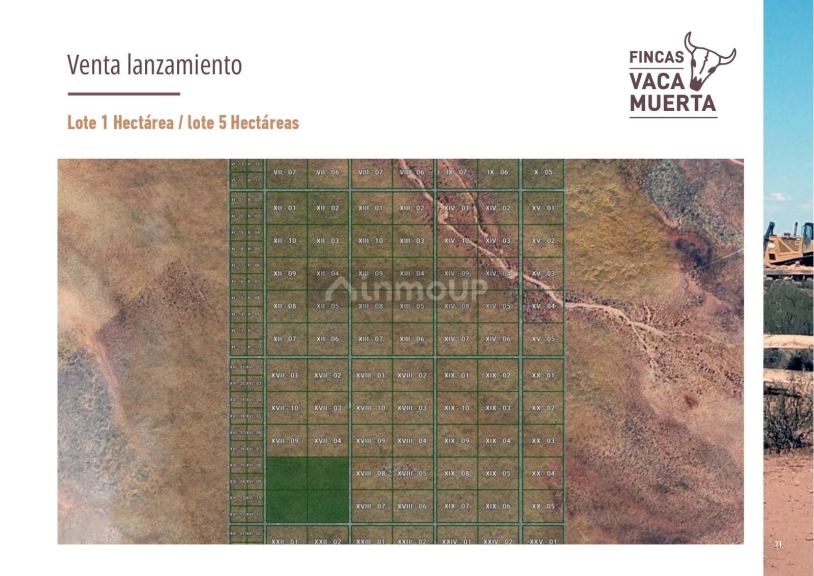 Terreno en Venta en Picunches, Neuquen