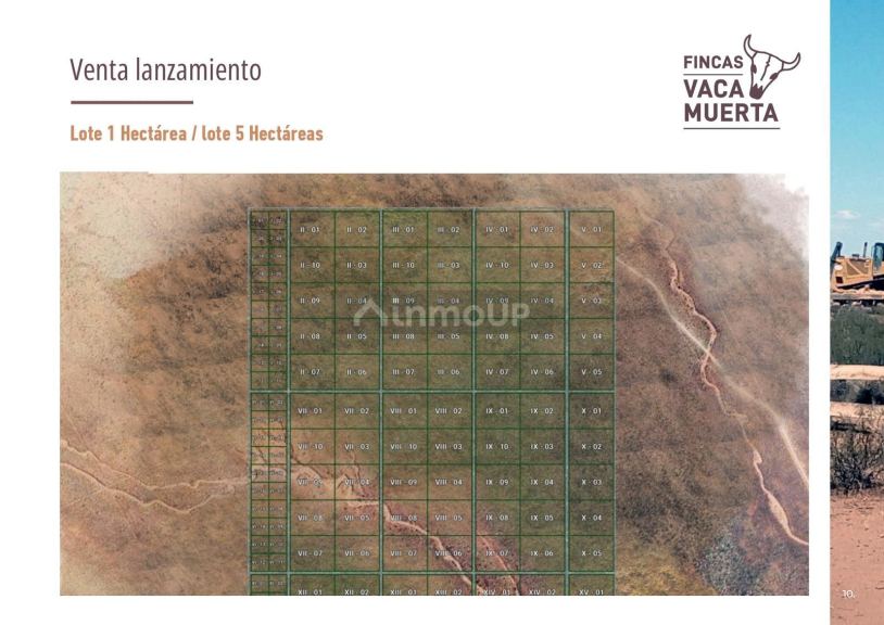 Terreno en Venta en Picunches, Neuquen
