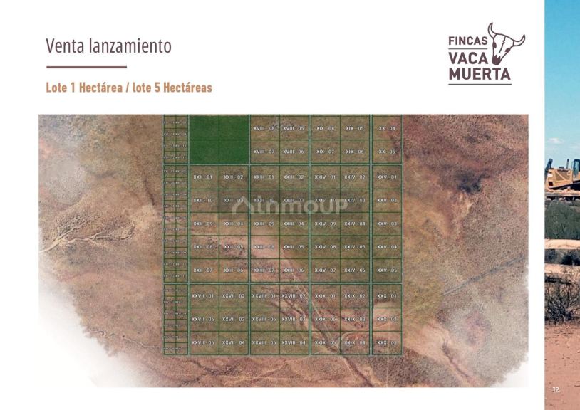 Terreno en Venta en Picunches, Neuquen