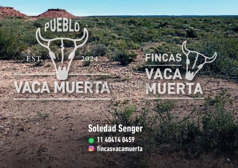 Terreno en Venta en Picunches, Neuquen