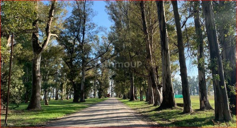 Terreno en Venta en General Rodriguez, G.B.A. Zona Oeste