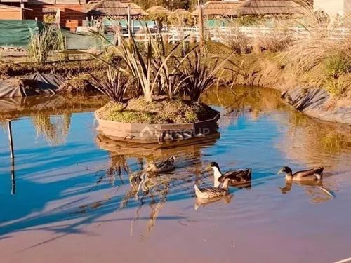 Terreno en Venta en General Rodriguez, G.B.A. Zona Oeste
