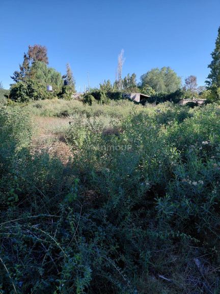 Lote en Venta en San Martin, San Juan