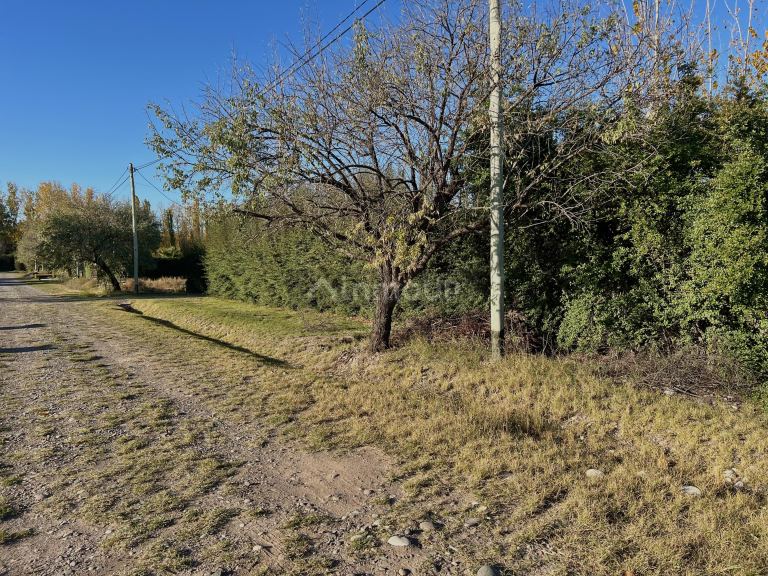Terreno en Venta en San Rafael, Mendoza
