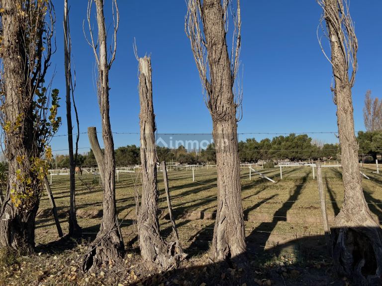 Terreno en Venta en San Rafael, Mendoza