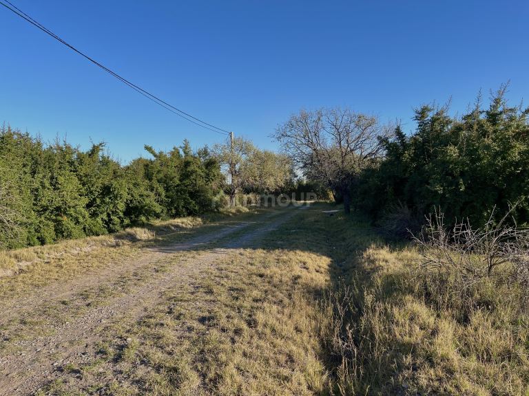 Terreno en Venta en San Rafael, Mendoza