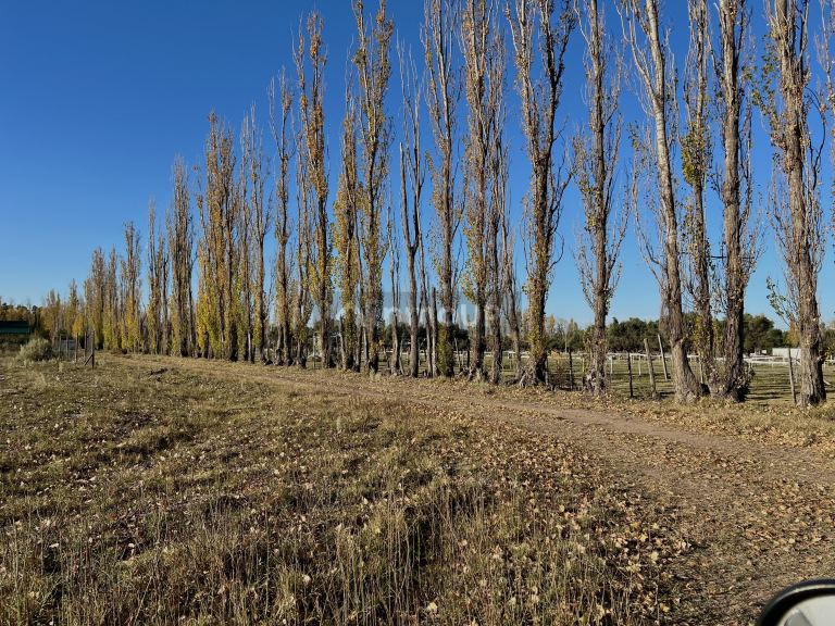 Terreno en Venta en San Rafael, Mendoza