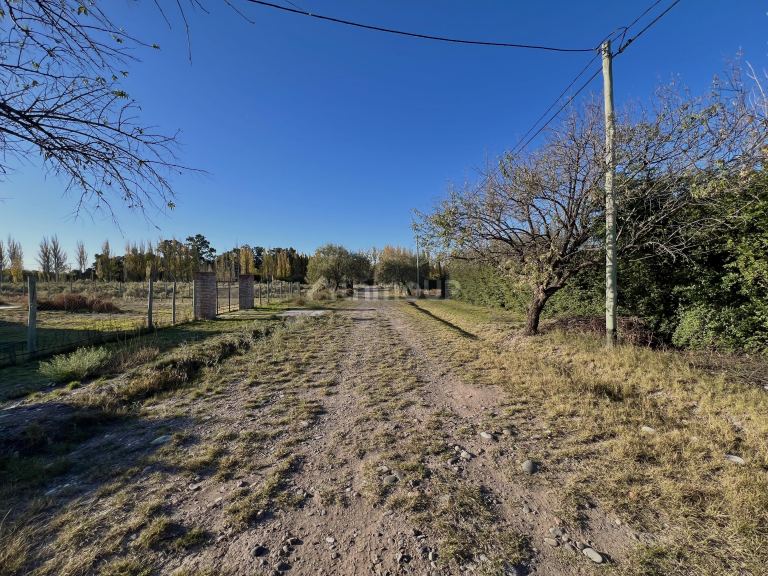 Terreno en Venta en San Rafael, Mendoza