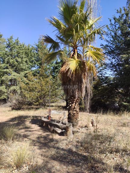 Terreno en Venta en Lujan de Cuyo, Mendoza