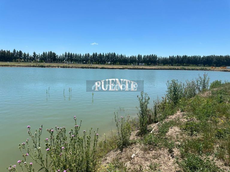 Terreno en Venta en Ezeiza, G.B.A. Zona Sur