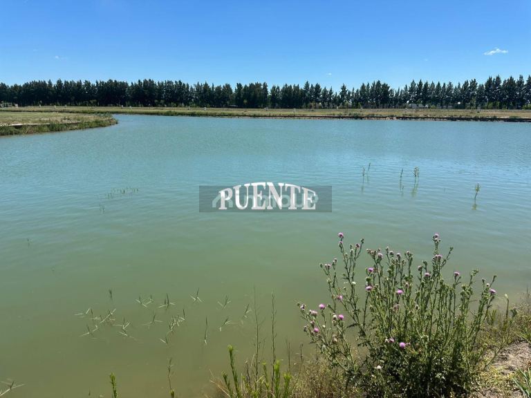 Terreno en Venta en Ezeiza, G.B.A. Zona Sur