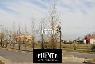 Ezeiza San Felipe Canning Ezeiza
