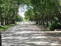 Terreno en Venta en Ezeiza, G.B.A. Zona Sur