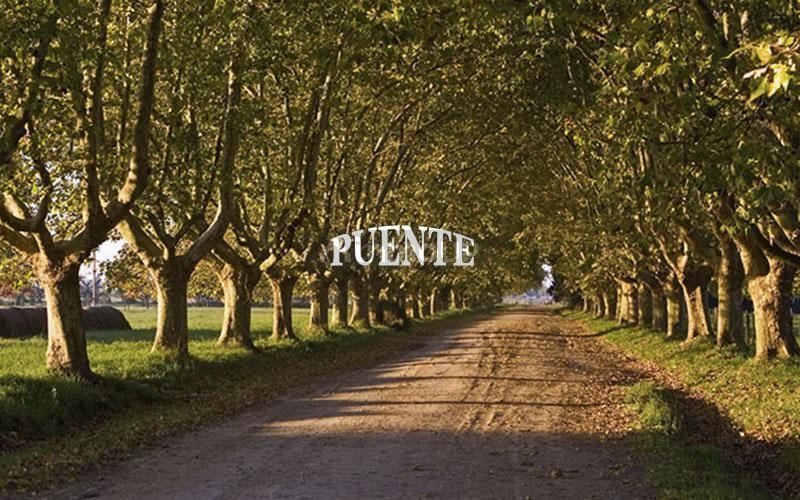 Terreno en Venta en Ezeiza, G.B.A. Zona Sur
