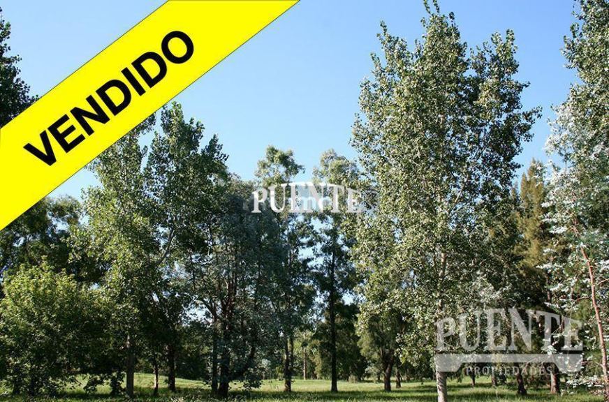 Terreno en Venta en Esteban Echeverria, G.B.A. Zona Sur