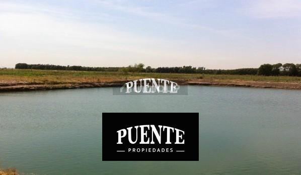 Terreno en Venta en Esteban Echeverria, G.B.A. Zona Sur