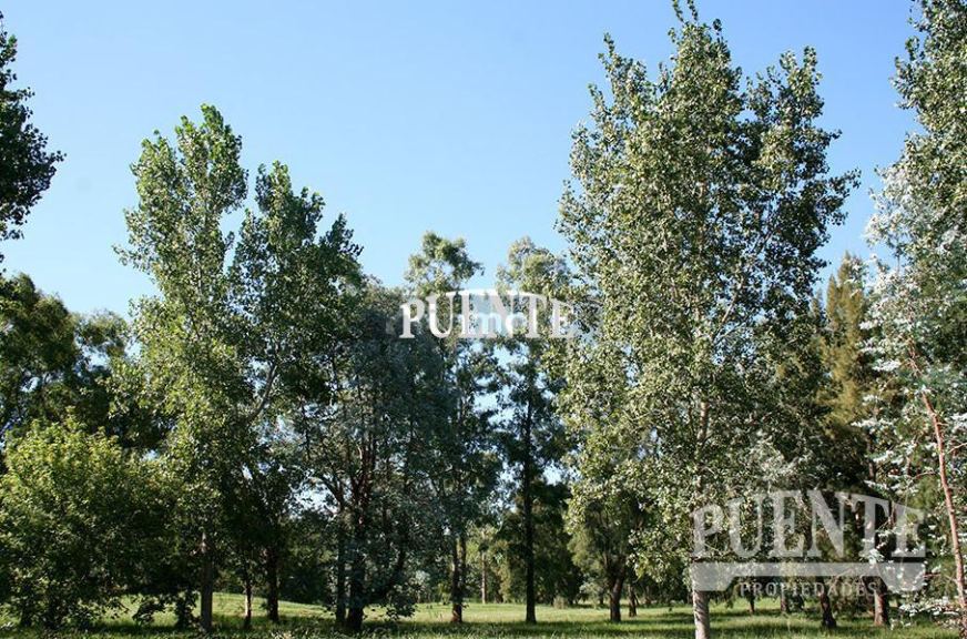 Terreno en Venta en Esteban Echeverria, G.B.A. Zona Sur