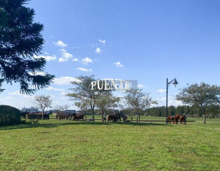 Terreno en Venta en Ezeiza, G.B.A. Zona Sur