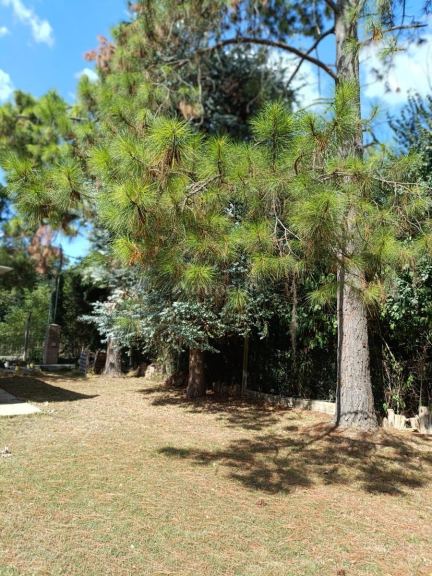 Casa Quinta en Alquiler en Lujan, G.B.A. Zona Oeste