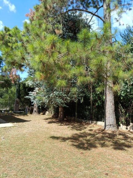 Casa Quinta en Alquiler en Lujan, G.B.A. Zona Oeste
