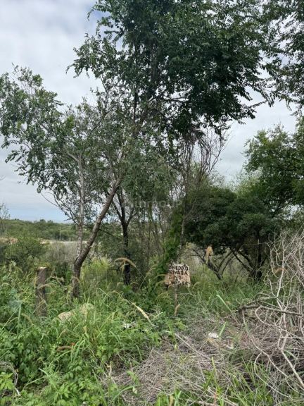 Terreno en Venta en Punilla, Cordoba
