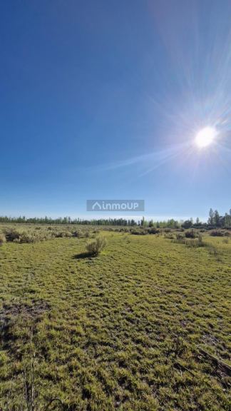 Lote en Venta en San Rafael, Mendoza