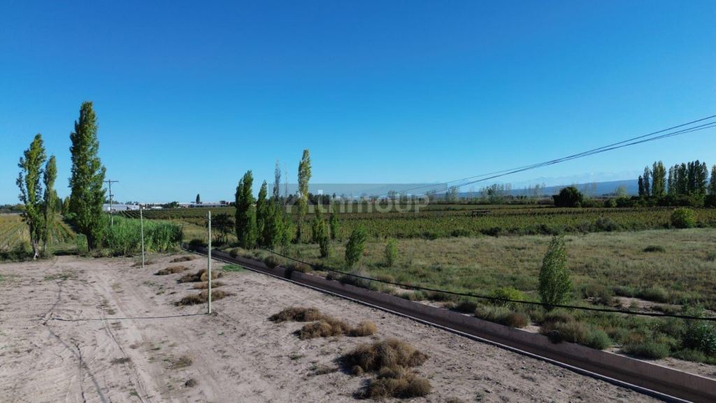 Finca en Venta en Lujan de Cuyo, Mendoza