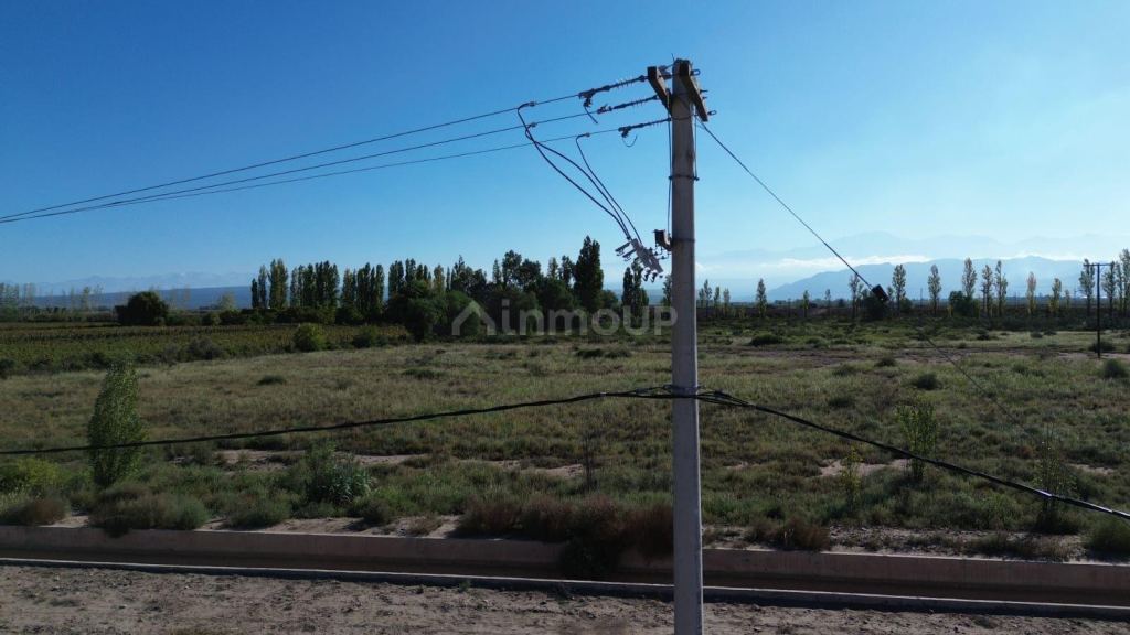 Finca en Venta en Lujan de Cuyo, Mendoza