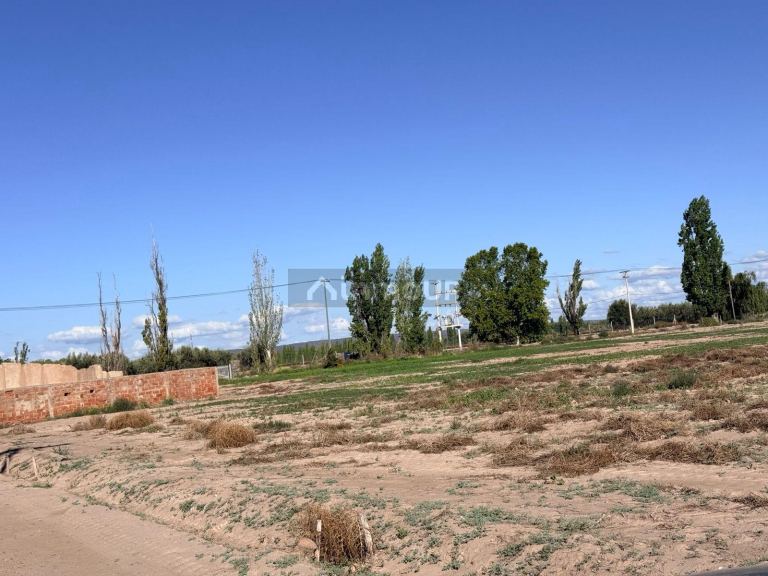Finca en Venta en Lujan de Cuyo, Mendoza