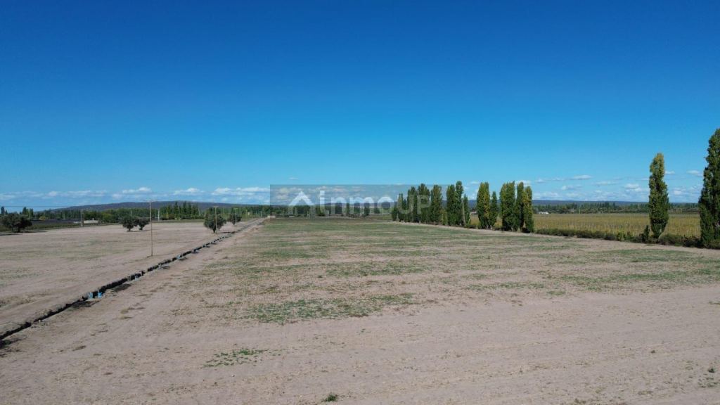 Finca en Venta en Lujan de Cuyo, Mendoza