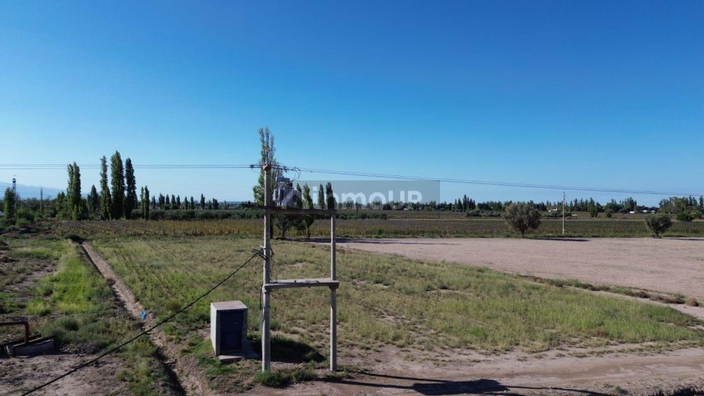 Finca en Venta en Lujan de Cuyo, Mendoza