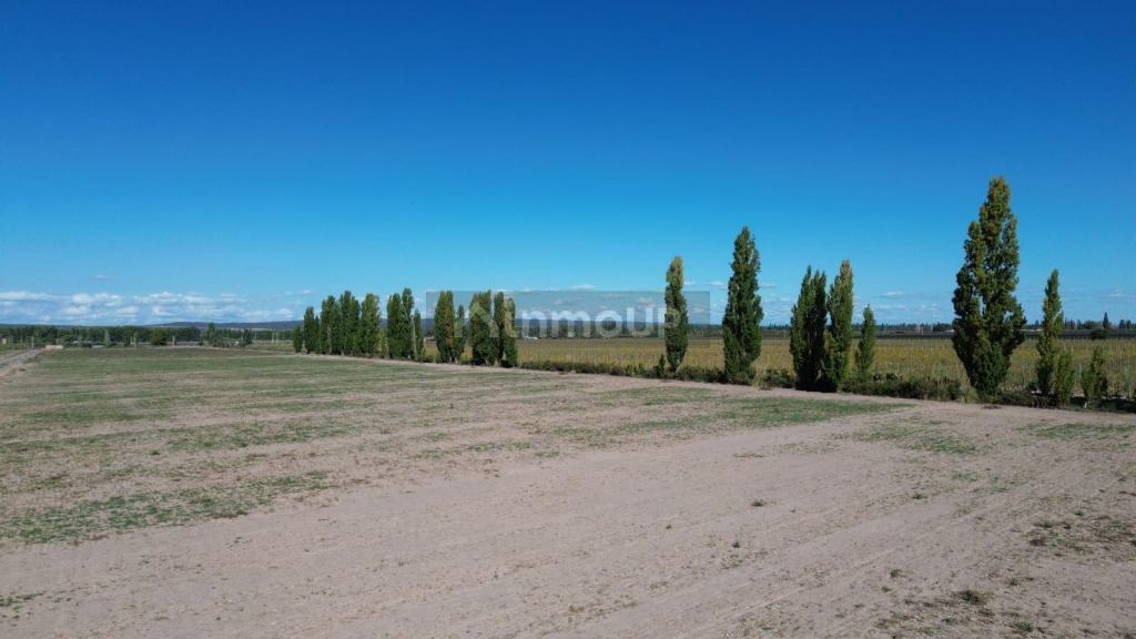 Finca en Venta en Lujan de Cuyo, Mendoza