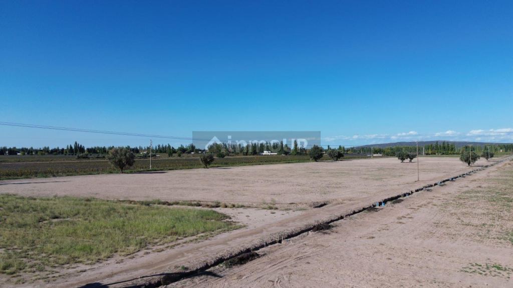 Finca en Venta en Lujan de Cuyo, Mendoza