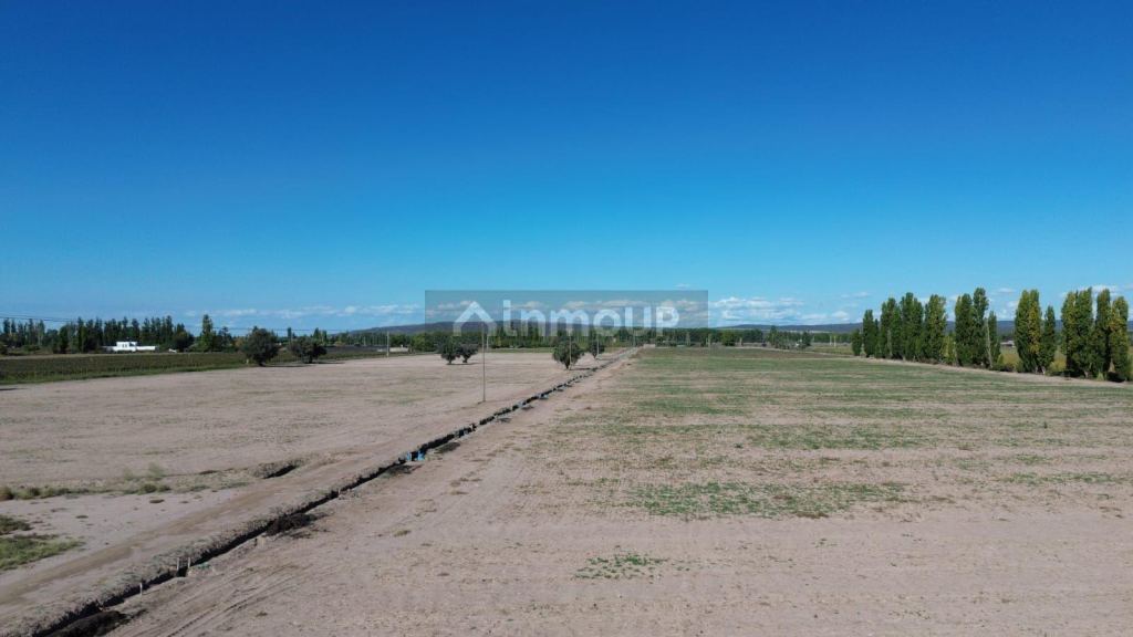 Finca en Venta en Lujan de Cuyo, Mendoza