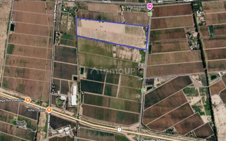 Finca en Venta en Lujan de Cuyo, Mendoza