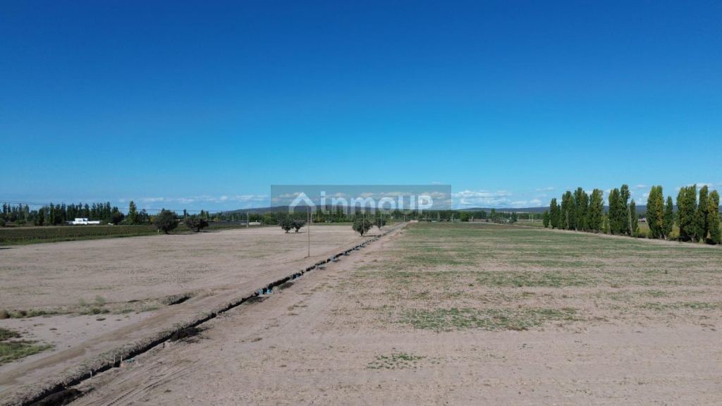 Finca en Venta en Lujan de Cuyo, Mendoza