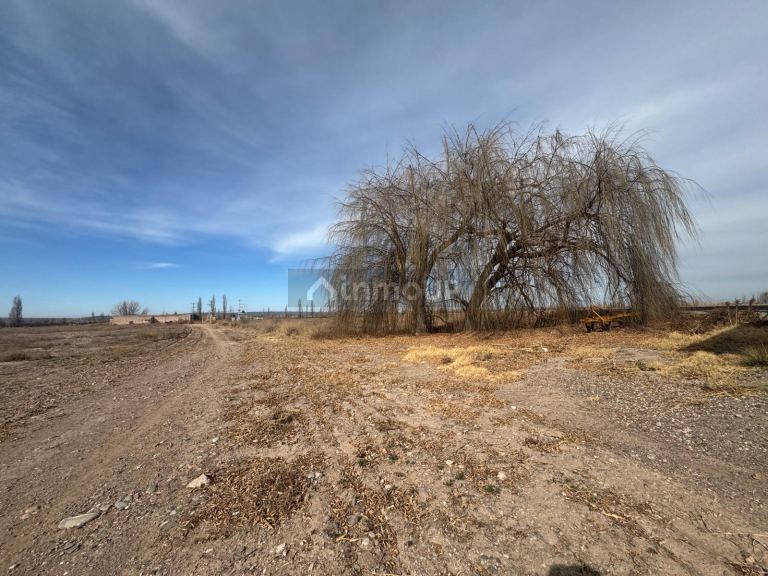 Terreno en Venta en Lujan de Cuyo, Mendoza