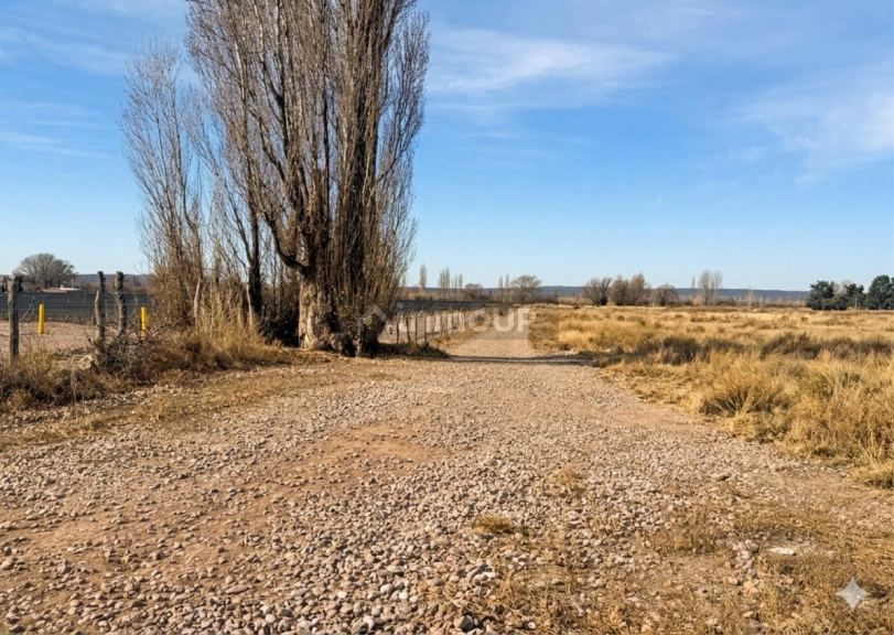 Terreno en Venta en Lujan de Cuyo, Mendoza
