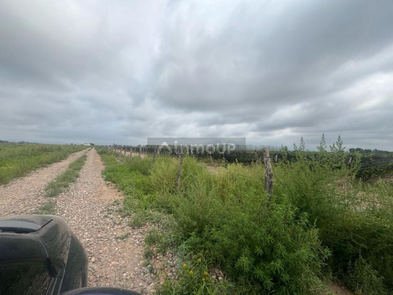 Terreno en Venta en Lujan de Cuyo, Mendoza