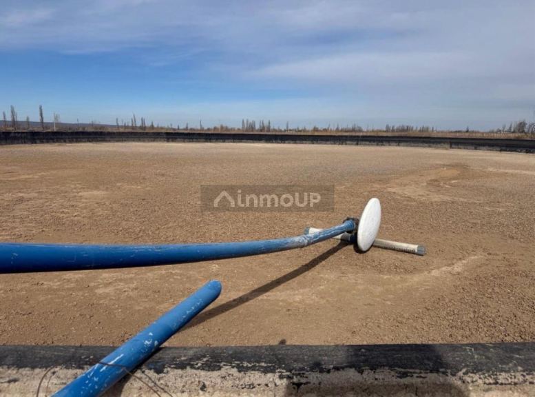 Terreno en Venta en Lujan de Cuyo, Mendoza