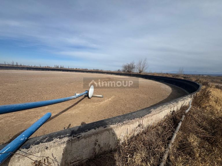 Terreno en Venta en Lujan de Cuyo, Mendoza
