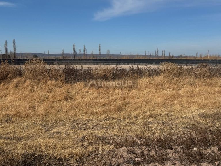Terreno en Venta en Lujan de Cuyo, Mendoza