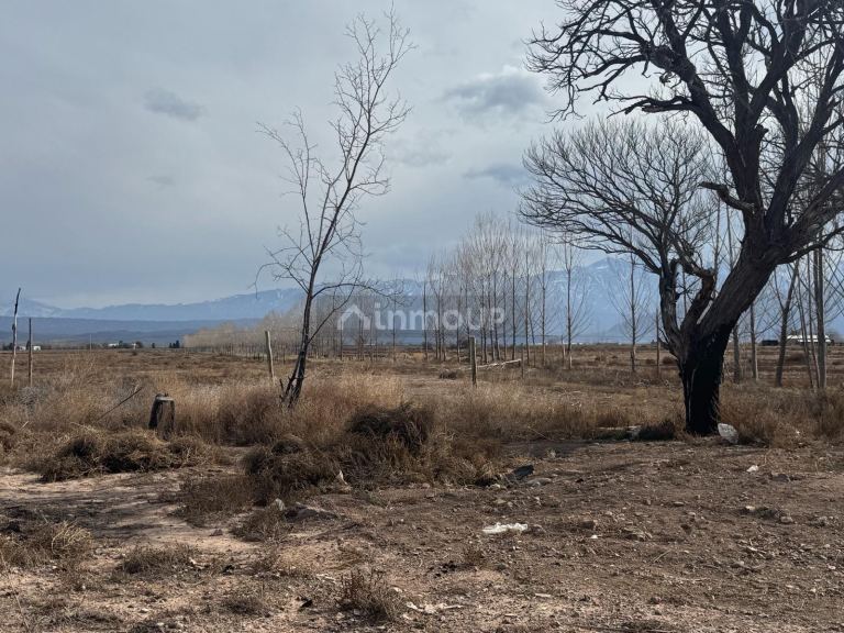 Terreno en Venta en Lujan de Cuyo, Mendoza
