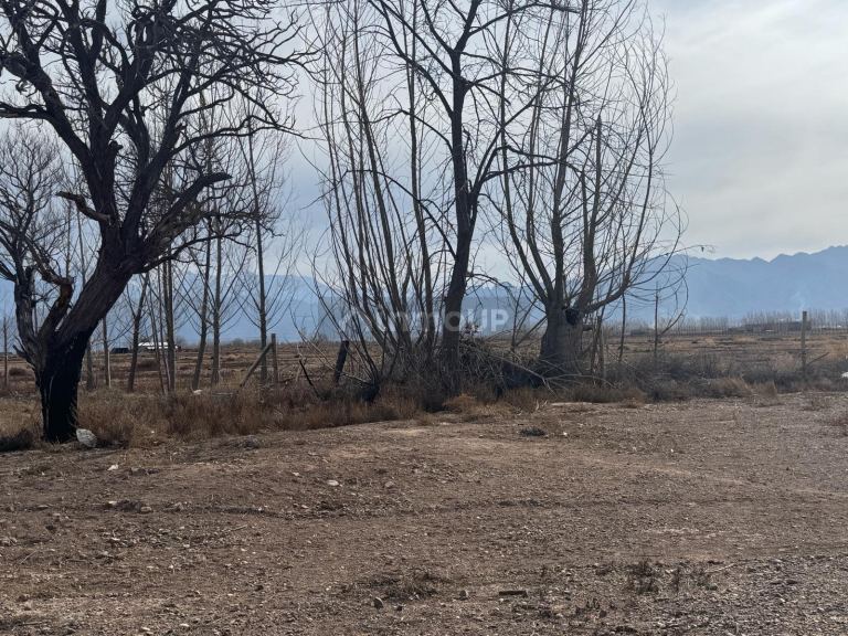 Terreno en Venta en Lujan de Cuyo, Mendoza