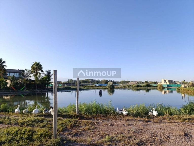 Terreno en Venta en Guaymallen, Mendoza